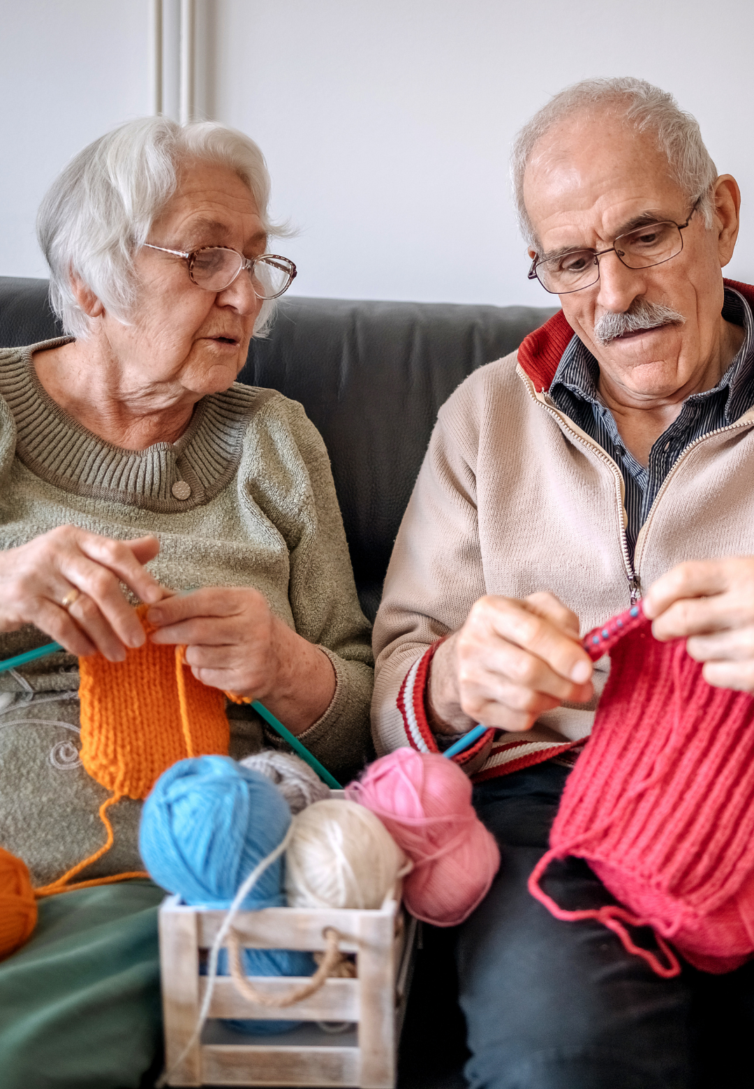 your paragraph text (6)